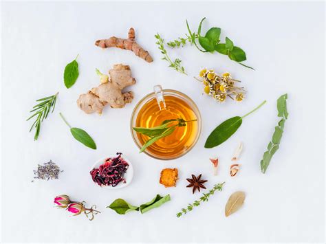 Verscheidene Kräuter und Teezutaten ausgebreitet.
