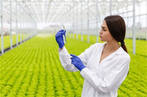 The Pinnacle of Purity: Nicotine at 99% – The SuperNic