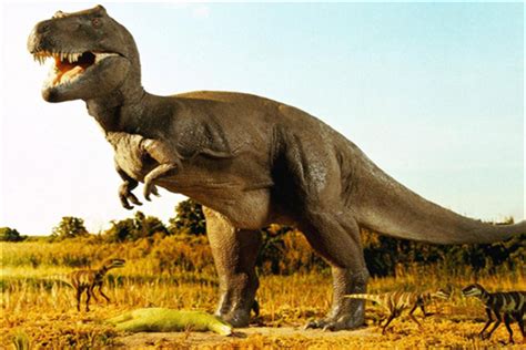 恐龙的祖先是谁？_探秘志