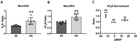 Inverse Salt Sensitivity of Blood Pressure Is Associated with an ...