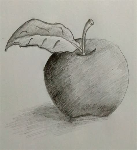 Pencil Drawing Of Apple