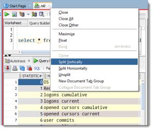 Image result for SQL Developer Split Screen with Two Different Queries