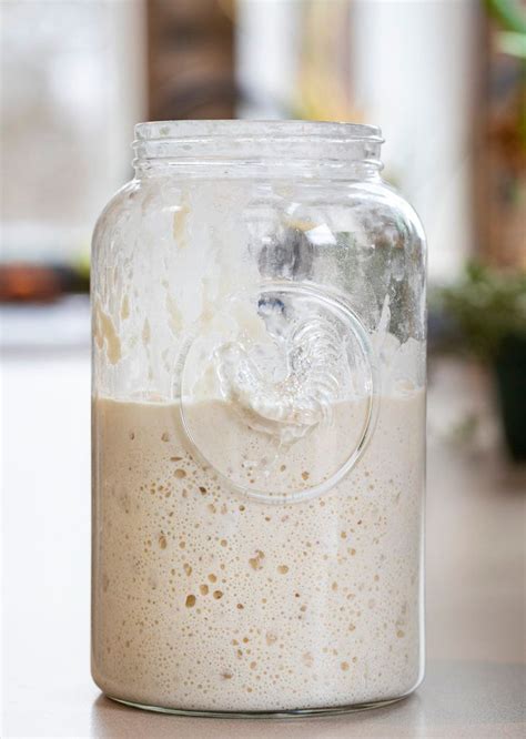 easy bread starter