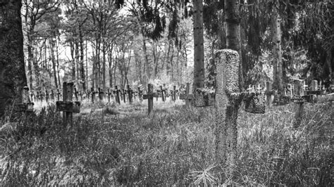 Download wallpaper background, crosses, cemetery, section miscellanea ...