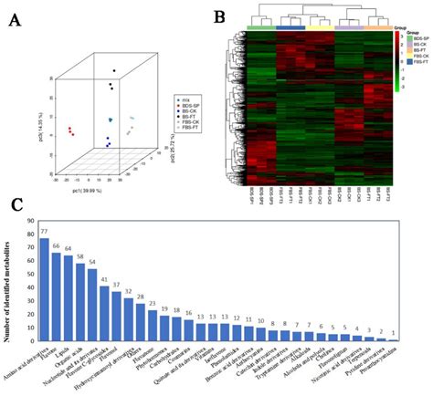 Widely Targeted Metabolomics Analysis Reveals the Effect of Flooding ...