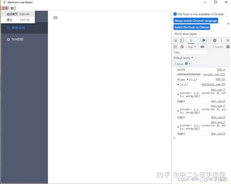 Electron 的图像结果
