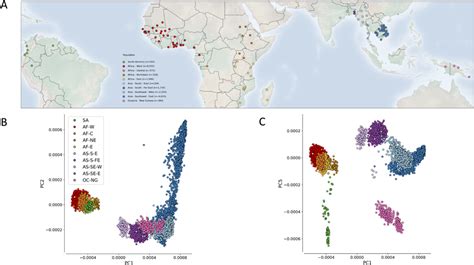 Distribution Map 的图像结果