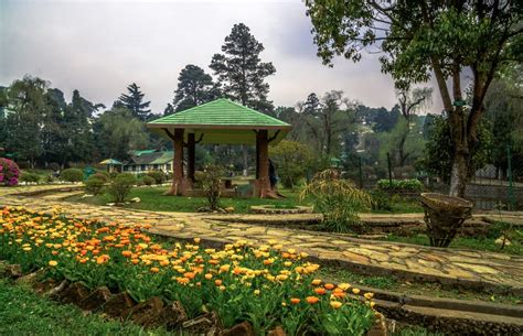 Lady Hydari Park Shillong: Best Time, How to Reach, and More Tips