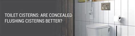 TOILET CISTERNS: ARE CONCEALED FLUSHING CISTERNS BETTER? | Lipka Home