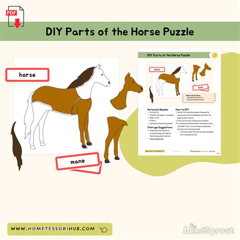 Printable Parts Of A Horse