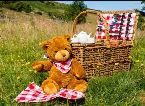 Alness Teddy Bears Picnic , Alness Industrial Estate, Evanton, 14 July ...