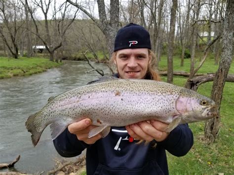 Trout Fishing Update: Virginia's Cripple Creek - Pautzke Bait Co