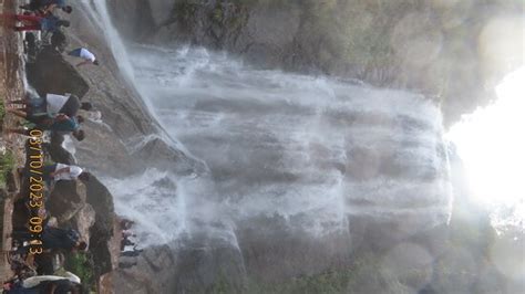 KEMMANNUGUNDI HILL RESORT-JUNGLE LODGES (Tarikere) - B&B Reviews ...