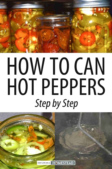 How to Can Hot Peppers Step by Step