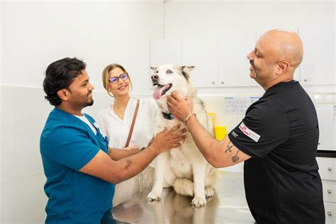 Wobblers Disease in Dogs: Causes, Symptoms, and Treatment