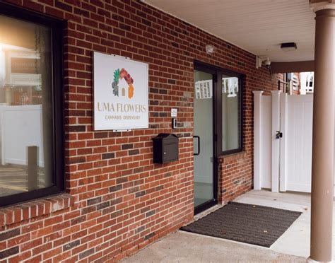 Chill 1:1 MAXX Body Rub 1000mg (THC:CBD) 1g Topicals | Chill Medicated