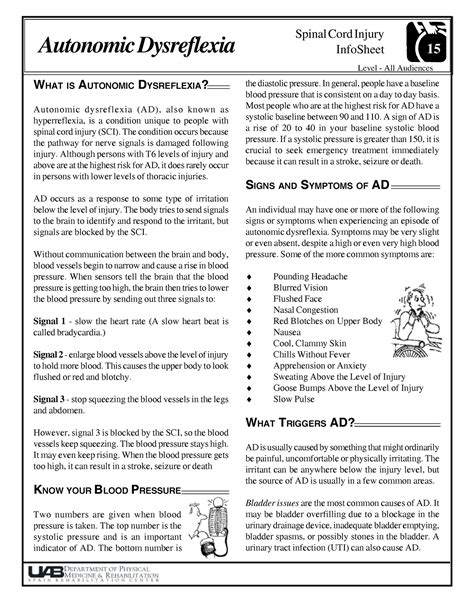 Image Result For Autonomic Dysreflexia Autonomic Dysreflexia Spinal