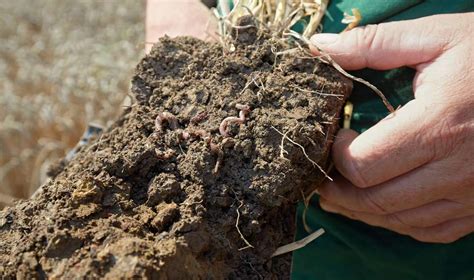 Carbon Farming cannot Save the Climate - Welthungerhilfe