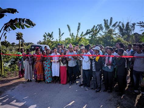 Assam: Solar fence installed in Udalguri to mitigate human-elephant ...