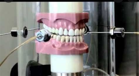 Tell me briefly about munching machine of mouth with relevant pictures ...