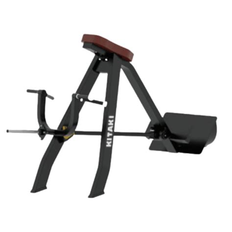 Kitaki Inlined Level Row (Free Weight System) – Sportswing.in