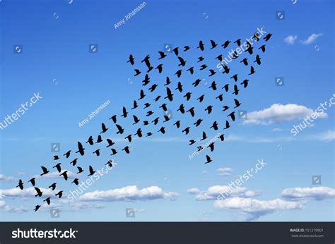 414件の「Birds flying upwards」の画像、写真素材、ベクター画像 | Shutterstock