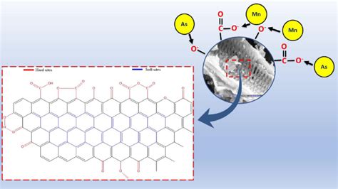 Image result for Compression Graph of Heavy Metal Adsorption