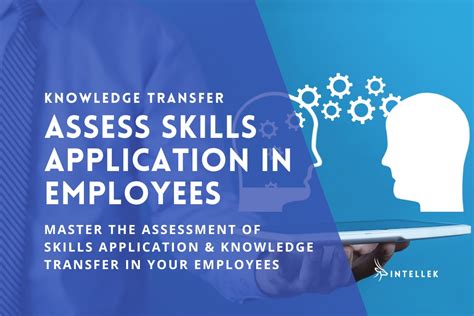 Application Knowledge Examples 的图像结果