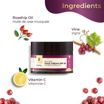 Buy Pilgrim Red Vine Face Cream Vitamin C & Oil | Beauty Bumble