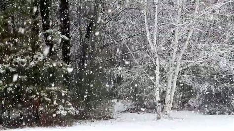 Snow Bride Watch Free 的图像结果