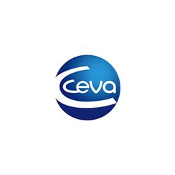 Logo ceva