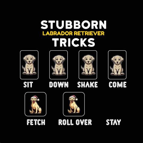 Image result for Labrador Tricks