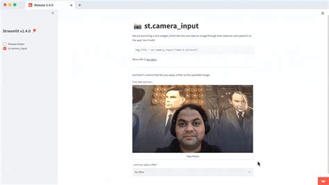 Streamlit App Tutorial 的图像结果