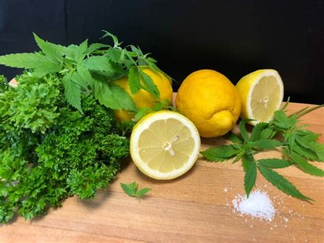 Pestos und Gremolata mit Hänflingen und dem Besten des Samens - Hanf ...