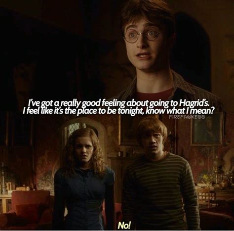 Harry Potter Quotes Funny