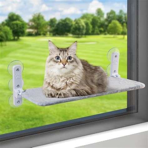 Amazon.com : ZPARIK Cat Window Perch, 6 Suction Cups 20‘’ Cat Window ...