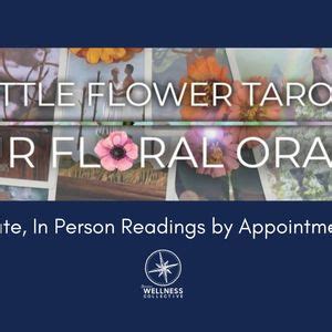 60 minute Reiki Infused, Private Tarot Readings with Krista, 997 W ...