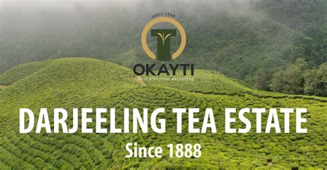Darjeeling Tea Estates - A glance into the Glorious past. – Okayti