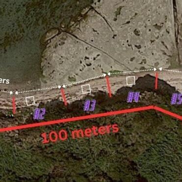 Image result for Data Collection Methods Visual