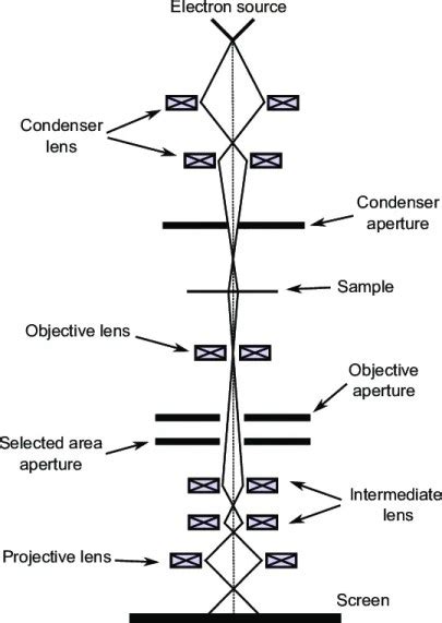 Electron Microscope Principle 的图像结果