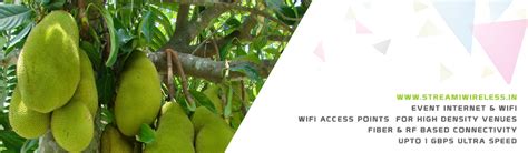 Event Temporary Internet, Wifi & IT Infrastructure Service Provider panruti