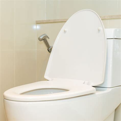 Best Toilet Seat in 2023 (Reviews And Comparisons) - Bathroom Scape