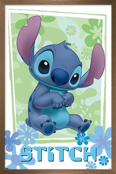 Disney Lilo and Stitch - Flowers Wall Poster, 14.725" x 22.375", Framed ...