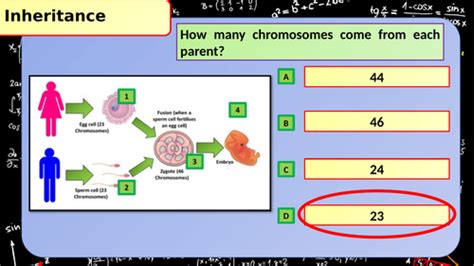 Free Science Lessons Cell Division 的图像结果