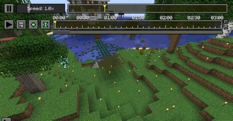 Image result for Replay Mod Minecraft Java