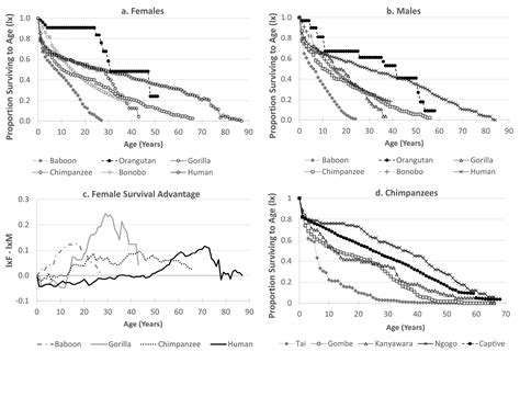 Human Evolutionary Demography - 19. Evolutionary Demography of the Great Apes