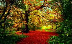 Beautiful Fall Desktop Backgrounds Hd by 45 Beautiful Fall Hd Wallpaper On Wallpapersafari Beautiful Fall Desktop Backgrounds Hd