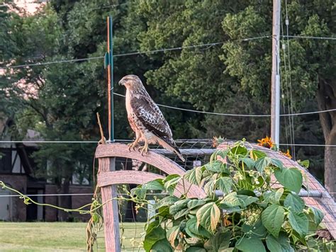 Micah Pollak (@pollak@mstdn.social) - Mastodon 🐘