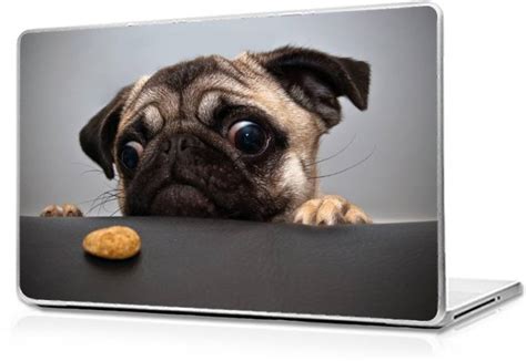 GLOBAL Cute dog Vinyl Laptop Decal 17 Price in India - Buy GLOBAL Cute ...