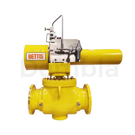 Double Block and Bleed Ball Valve Manufacturer in Mumbai, India